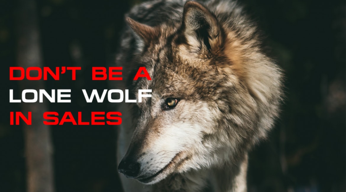 Don’t Be A Lone Wolf in Sales! - Sales Ninja Blog