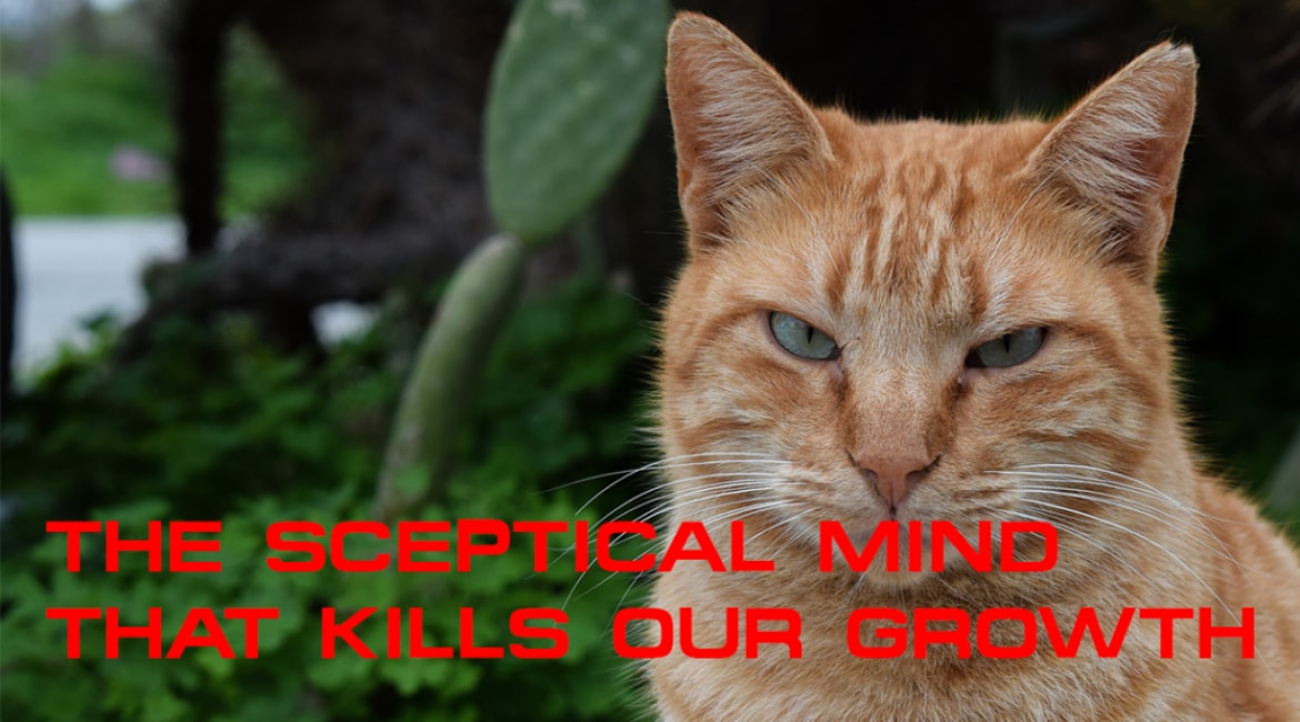The Sceptical Mind That Kills Our Growth - Sales Ninja Blog
